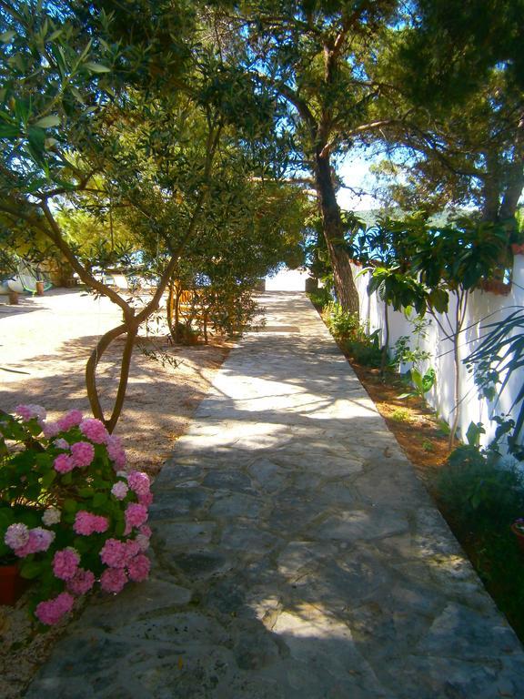 Bed & Breakfast Pansion Rade Hotel Pirovac Exterior foto